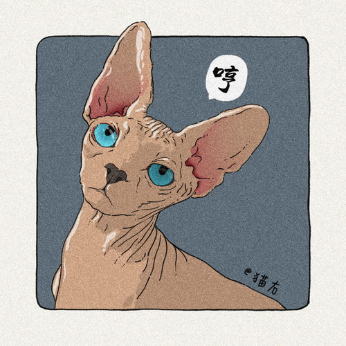 猫咪插画头像有老鼠我不捉,就是玩儿