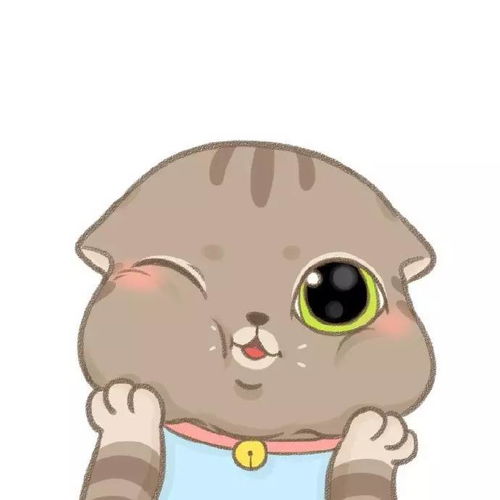 狗,你家缺猫吗搞笑周末