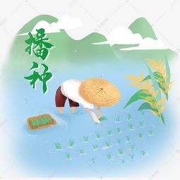 节气芒种农民播种卡通插画素材图片免费下载千库网