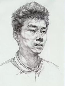 干货从静物到青年中年老年男女头像,高清素描结构图