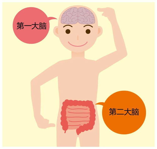 易胖体质的真相不要说瘦很简单,因为你没胖过