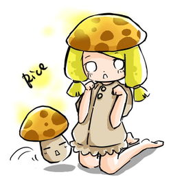 阳光菇阿油凯丁的个人空间