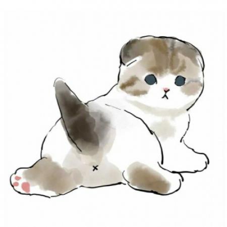 手绘小猫可爱微信头像,小猫抱着水果美食的