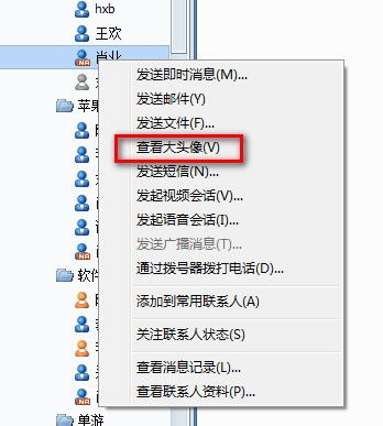 rtx头像显示插件1.0.0.1