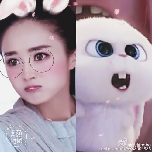 就是这么自信赵丽颖变身萌萌赵小兔网友直呼我要把她抱回家