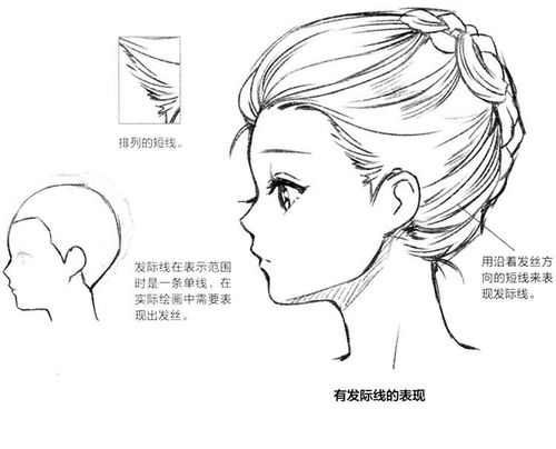 10.头发的生长方式