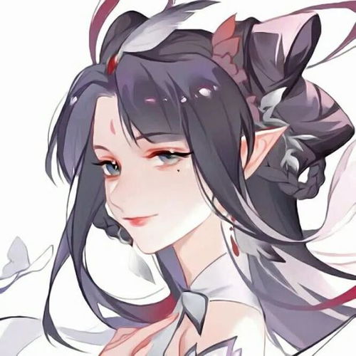 哔哩哔哩专栏