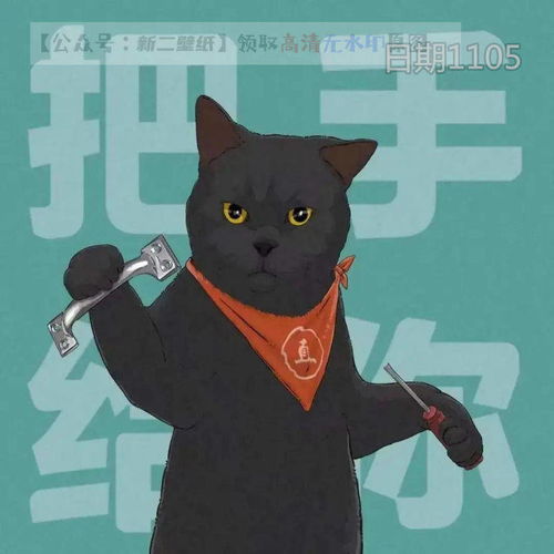 把手给我把手给你情头情侣头像图片抖音热门