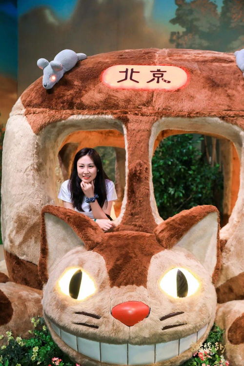 今夏重磅推荐宫崎骏与吉卜力的世界动画艺术展内含福利