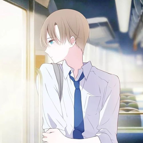 男朋友到底有什么用