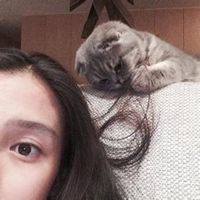 抱猫的女生头像动漫微信头像图片大全