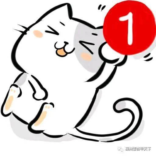 别样朋友圈