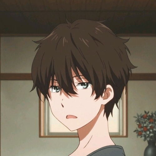 动漫男头如果没有遇见她会怎么样
