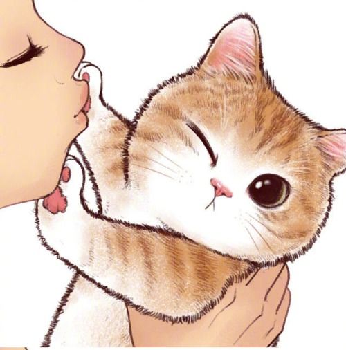 当你亲吻猫咪,它却嫌弃时,走开莫挨老子