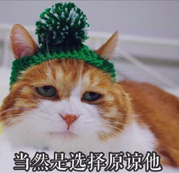 白羊座女生和天蝎座男生在一起合适吗