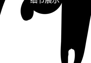 现代简约创意黑白手绘动物儿童房装饰画图片下载动物装饰画大全北欧装饰画编号16627485