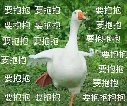 鹅中爱马仕传说中合肥超好吃的鹅,竟然在这里