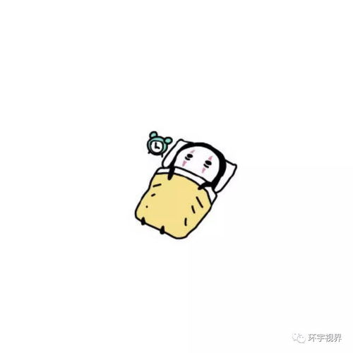 dk旋律这个鼠年,美好非你莫鼠