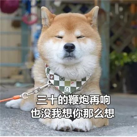 动漫人物头部透视的理解方式丨绘画教程