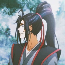 魔道祖师羡那令人羡慕的发量