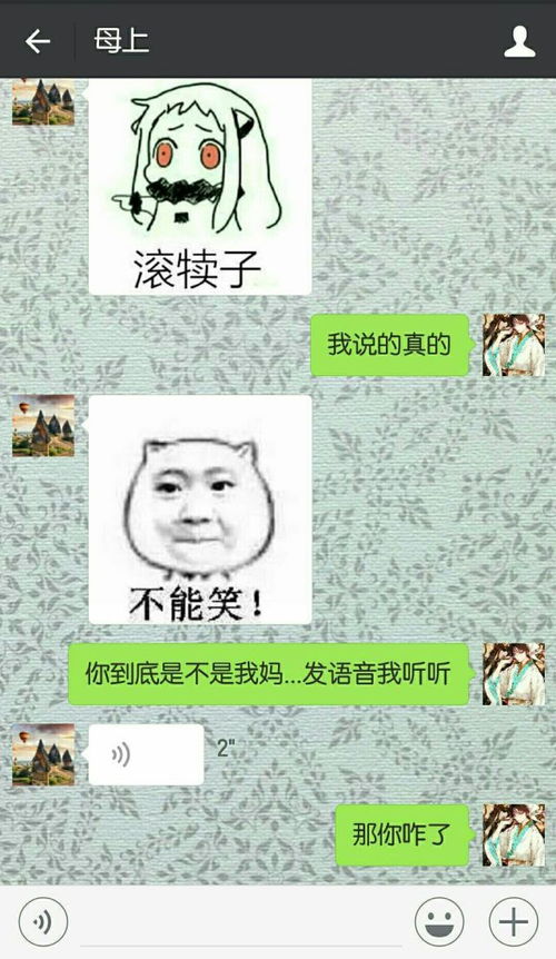 有一种代沟叫做爸妈让我解释表情包