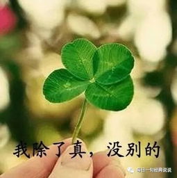 总有一句让你身同感受的句子精辟