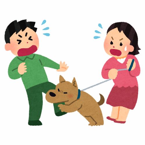 遛狗牵绳咬伤抓伤养猫养狗的人卡通插画免扣素材手绘png2911职业社会职场生活