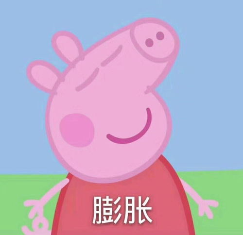 福建中考初三有哪些推荐刷的题