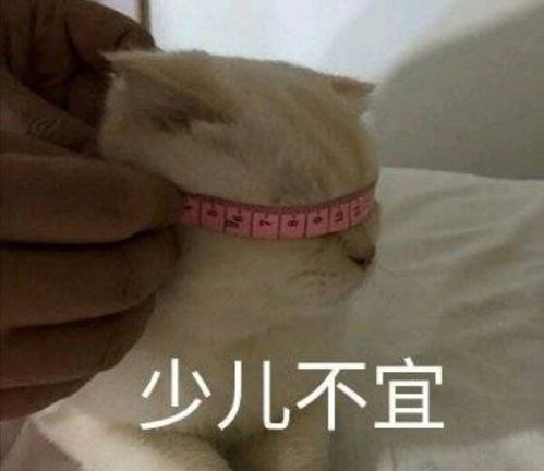 关于doi,更新半后续