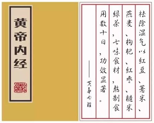 湿气是怎样形成的,一图秒懂漫画版
