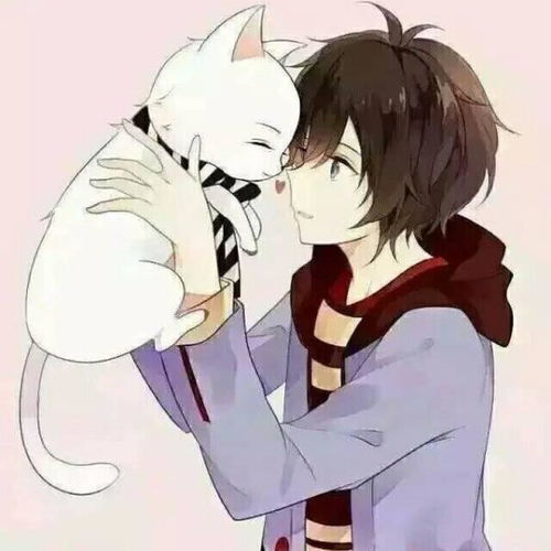 动漫男孩儿抱着猫的情头另一半