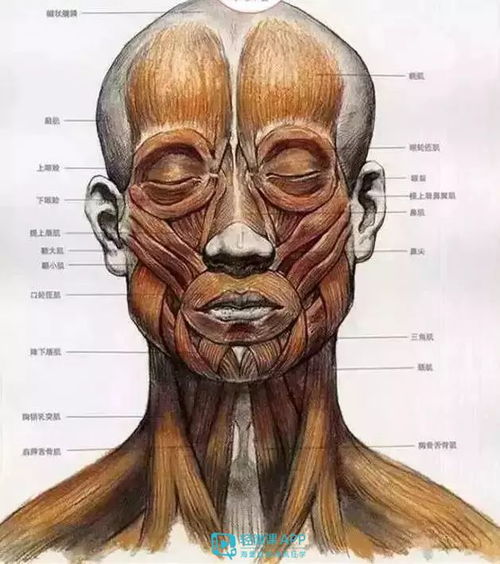 素描五官怎么画的好新手也能一画就会
