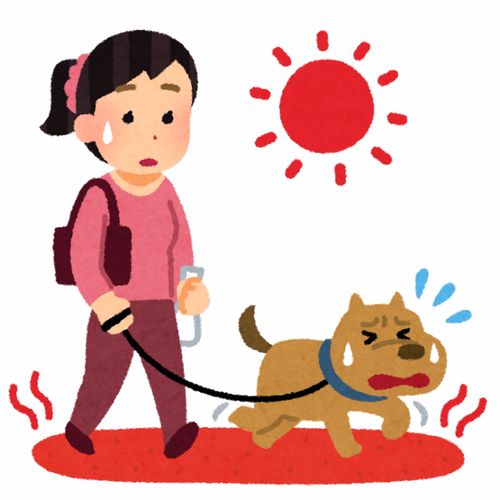 遛狗牵绳咬伤抓伤养猫养狗的人卡通插画免扣素材手绘png297职业社会职场生活