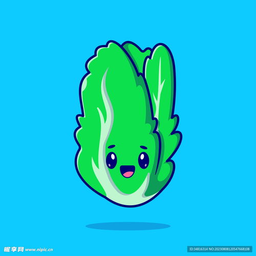 卡通蔬菜大白菜小白菜设计图卡通设计