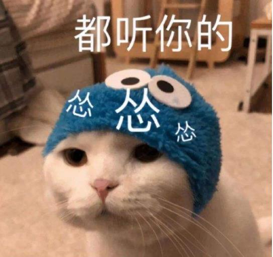 不要随便养猫,实在是太多人得了这些病