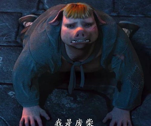 西行纪没有地位没有背景的唐三藏团队只能依靠它来走完西行之路