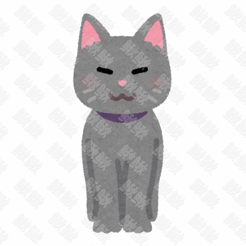 灰色小猫侧正上下视图猫咪小猫手绘卡通插画手绘png儿童插画免扣素材6阿猫阿狗