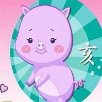 属猪带好运的微信头像微信头像图片大全