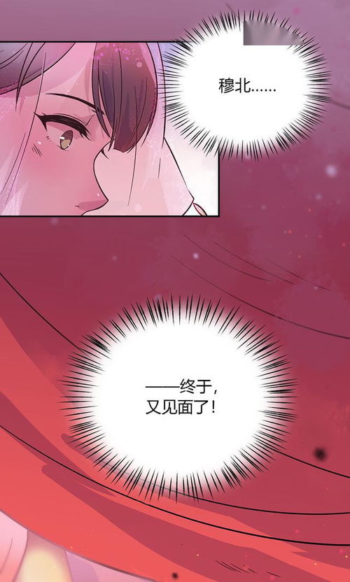 古风漫画王爷,说好的这只兔子不能吃