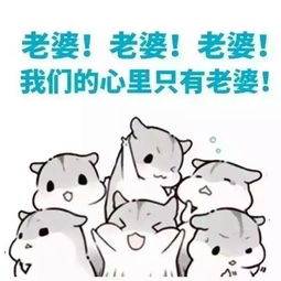 谁有给女朋友道歉的图片