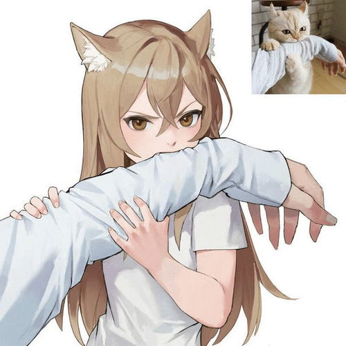 日本绘师将猫咪拟人化,喵星人变猫耳娘也太可爱啦