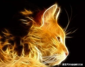 这些星座女不喜欢成熟稳重的男人,喜欢呆萌可爱的小奶狗