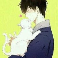 头像女抱猫咪动漫微信头像图片大全