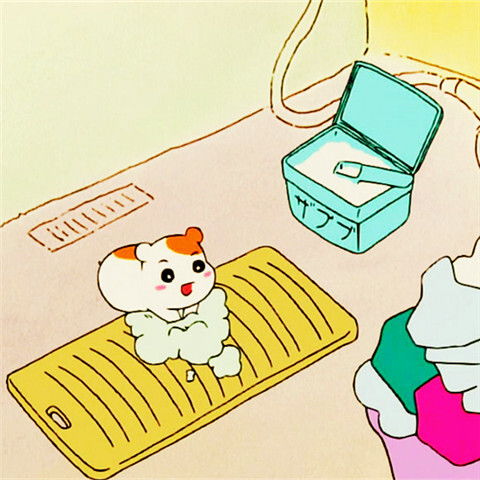 仓鼠管家oruchuban堆糖,美好生活研究所