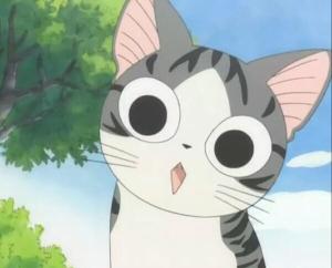 小小起司猫