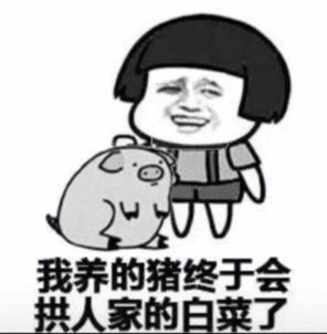 表情猪拱白菜表情包