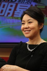 画壁主创做客新浪闫妮笑容迷人