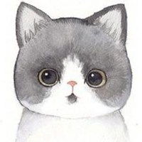 小动物微信头像大全