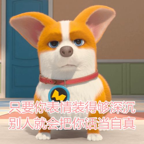 所以表情包是会消失的对不对
