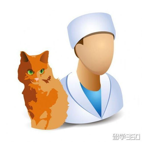 能学会并不一定就适合,英国留学最适合男生的六大专业